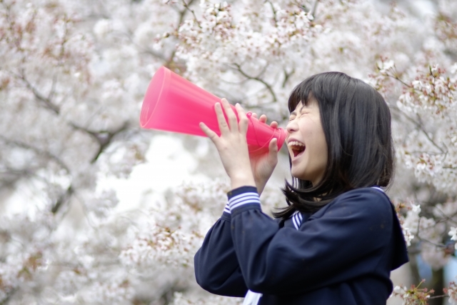 行きたい高校がない人必見 入学してから気づいた 多分みんなが知らない高校選びでの意外に重要なこと 大学生が書いているゴチャゴチャblog